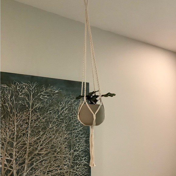 Altru Macrame Plant Hanger - Picture 4 of 4